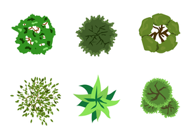 Tree Top View Free Vector Art 286x200 Tree Top View Free Vector Art