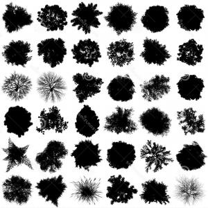 Tree Top View Silhouettes Set Vector Silhouette Architectural 300x300 Tree Top View Silhouettes Set Vector Silhouette Architectural