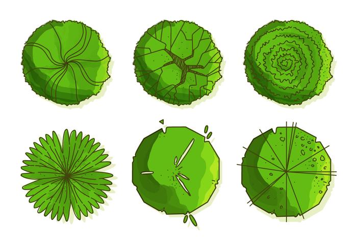 Tree Tops Vectors 700x490 Tree Tops Vectors