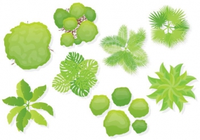 Tree Top View Free Vector Graphic Art Free Download 285x200 Tree Top View Free Vector Graphic Art Free Download