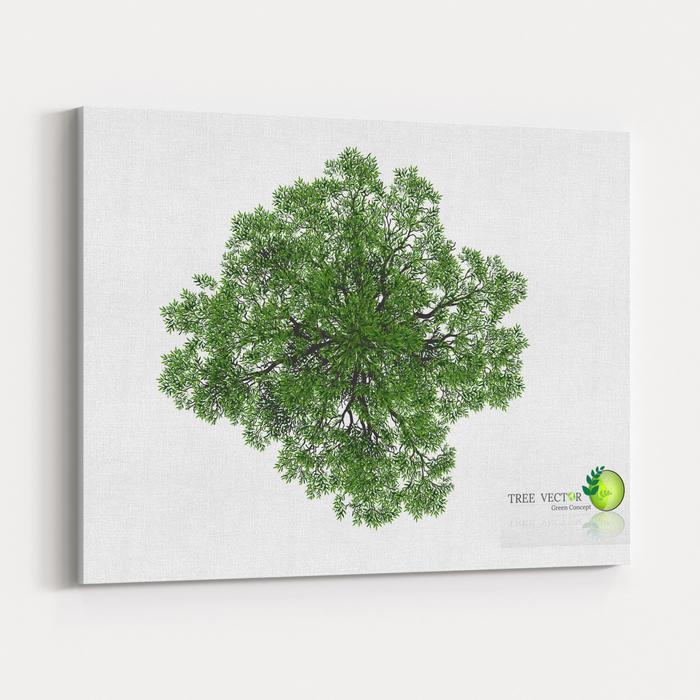 Trees Top View For Landscape Vector Illustration Decorative Branch 700x700 Trees Top View For Landscape Vector Illustration Decorative Branch