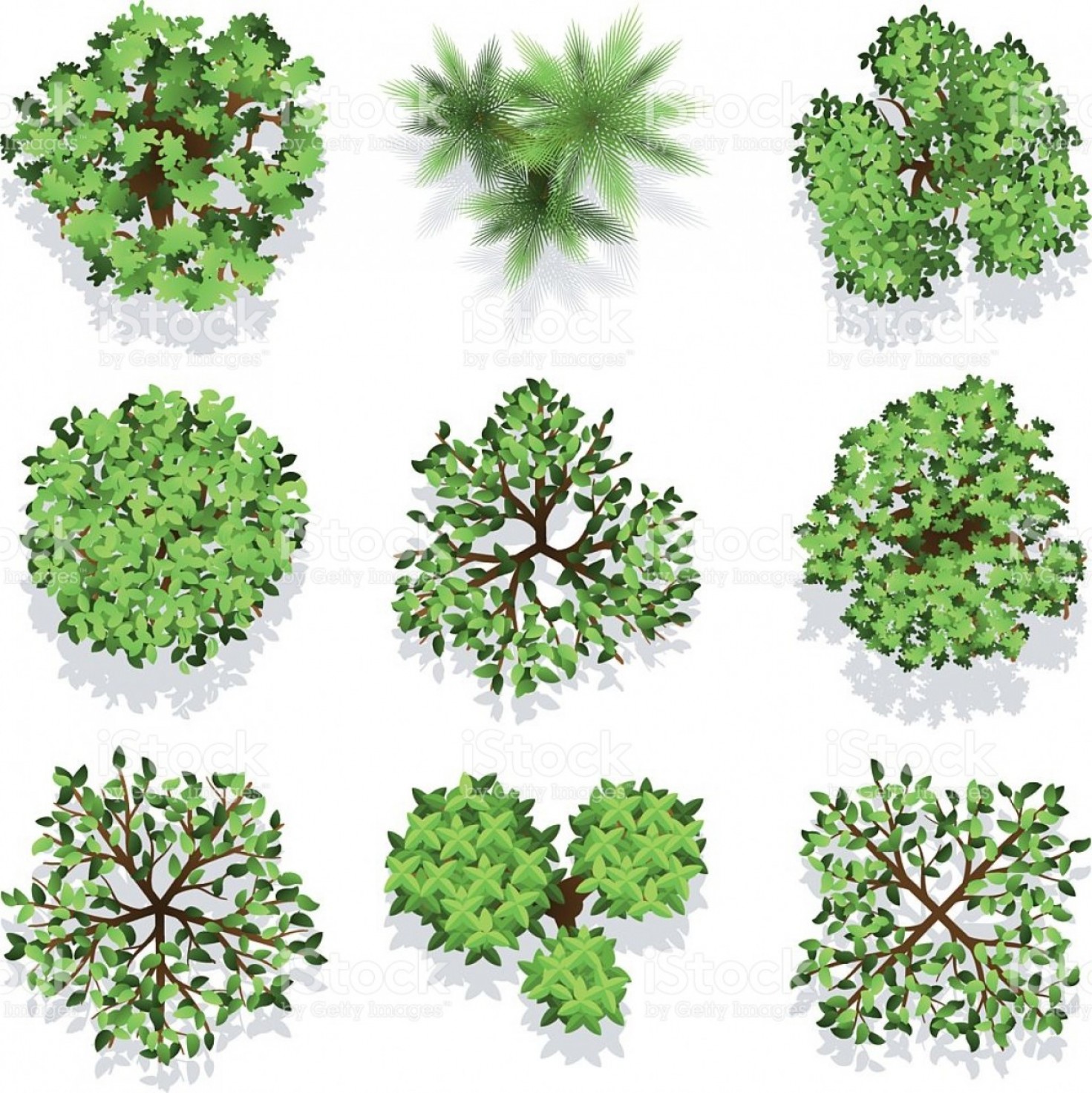 Trees Top View Vector Set For Landscape Design And Map Gm 1471x1473 Trees Top View Vector Set For Landscape Design And Map Gm