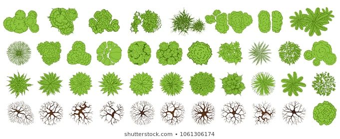 Trees Top View For Landscape Vector Illustration Tree Of Life 681x280 Trees Top View For Landscape Vector Illustration Tree Of Life