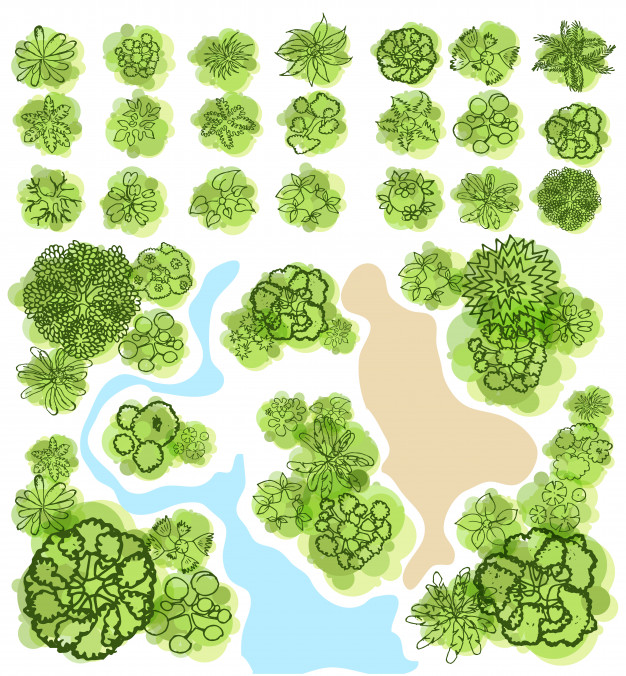 Trees Top View For Landscape Vector Illustration Vector Premium 626x676 Trees Top View For Landscape Vector Illustration Vector Premium