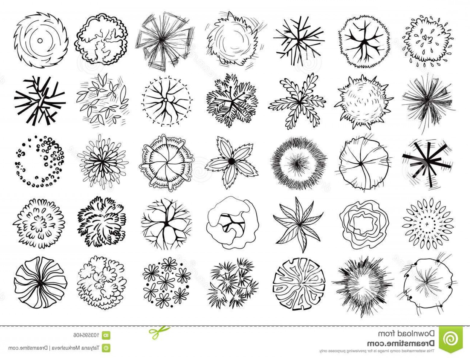 Various Trees Bushes Shrubs Top View Landscape Design Plan Set 1560x1190 Various Trees Bushes Shrubs Top View Landscape Design Plan Set