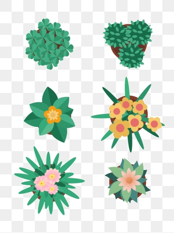 Plant Top View Png, Vector, And Clipart With Transparent 360x481 Plant Top View Png, Vector, And Clipart With Transparent