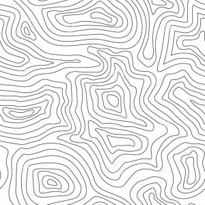 300x300 Topographic Map Contour Background Topo Map Elevation Contour Map