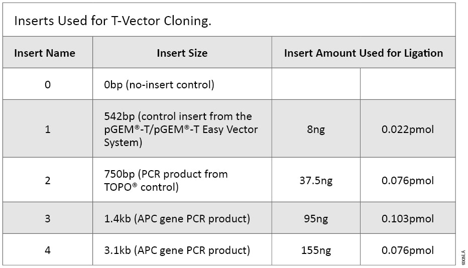 932x534 Comparing Cloning Efficiency Of The Pgem T And Pgem T Easy Vectors