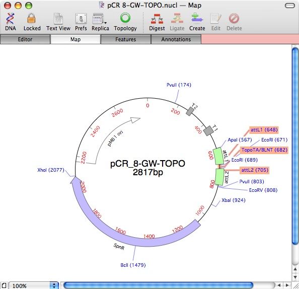 594x574 Gateway And Topo Cloning With Macvector