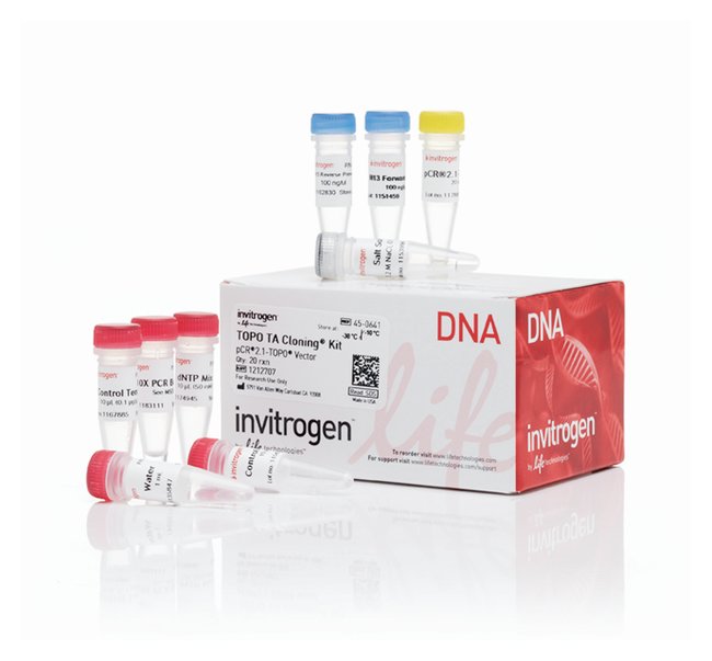 650x603 Ta Kit For Subcloning, Without