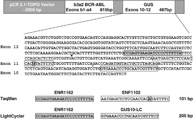 615x380 Harmonization Of Bcr Abl Mrna Quantification Using A Uniform