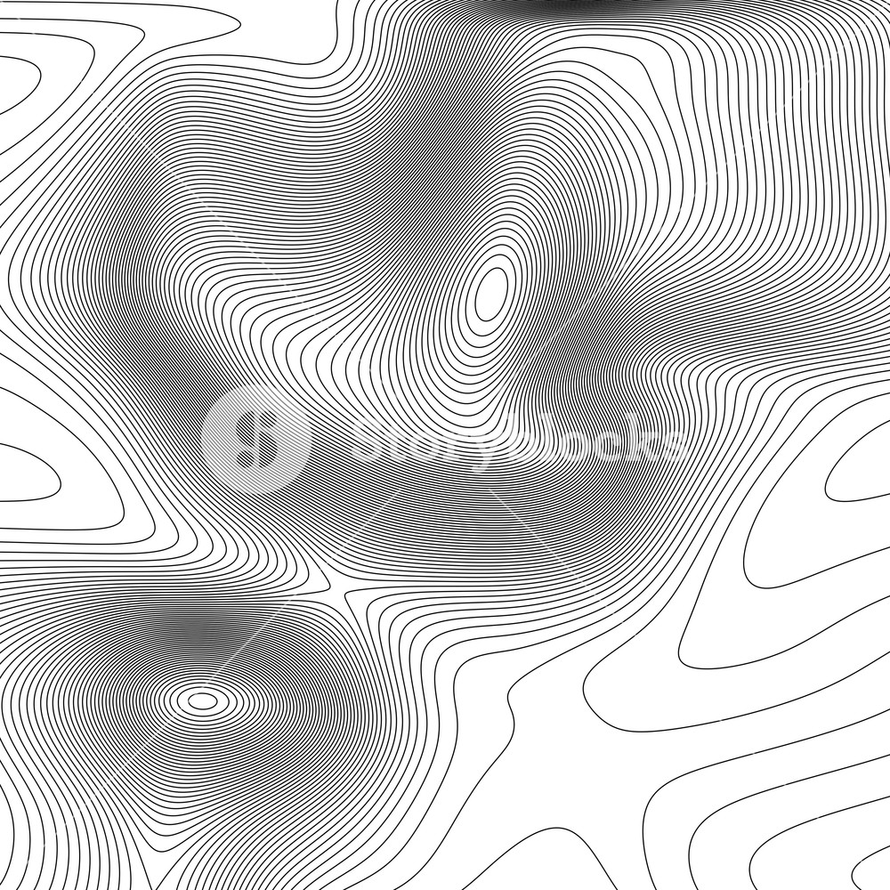 1000x1000 Topographical Map Of The Locality, Vector Illustration With Lines