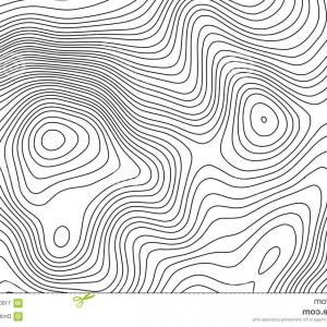 300x300 Topographic Map Contour Background Topo Elevation Vector