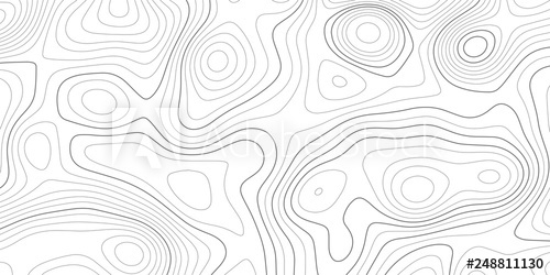 500x250 Topographic Map And Landscape Terrain Texture Grid Abstract White