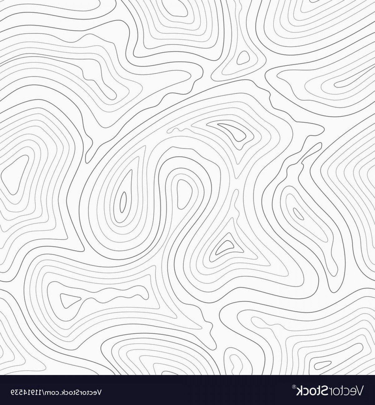 1200x1296 Vector Topography Wallkeeper