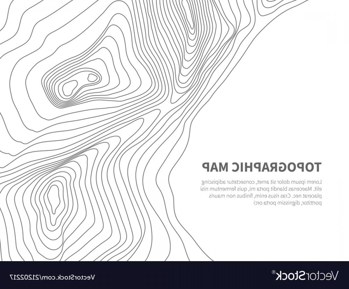1200x996 Vector Us Map Topography Savoyuptown