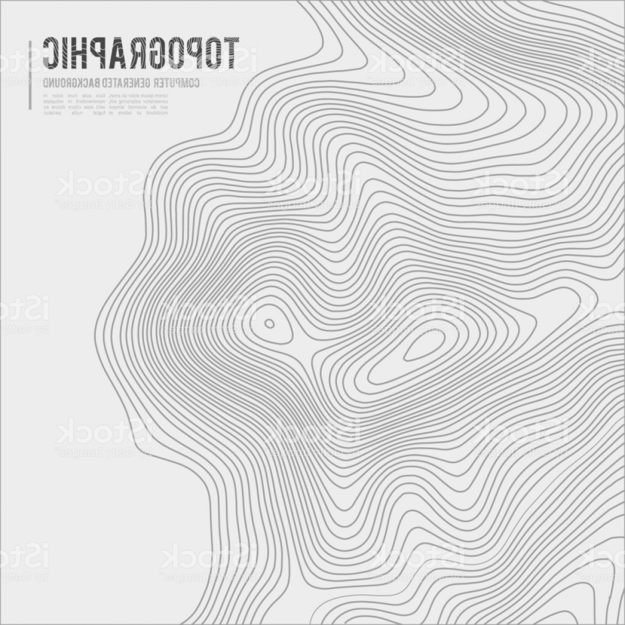 1228x1228 Grey Contours Vector Topography Geographic Mountain Topography