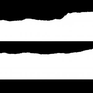 300x300 Photostock Vector Torn Paper With Ripped Edge Createmepink