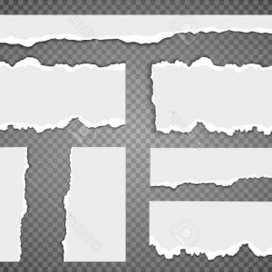 300x300 Catamart Creative Vector Illustrator