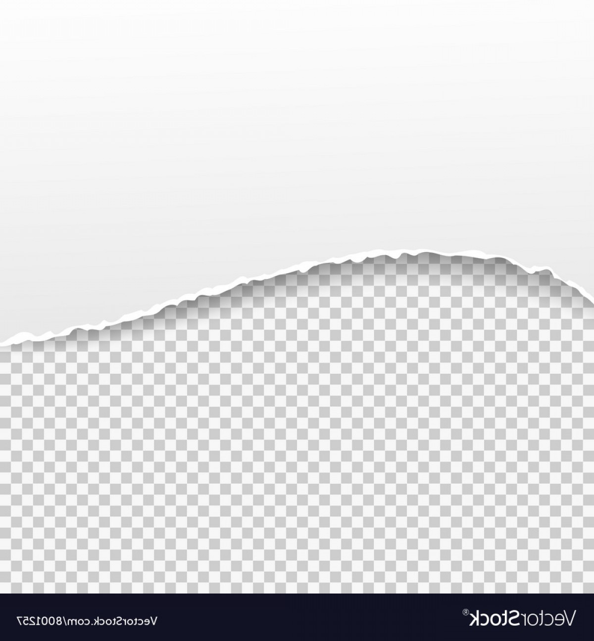 Download Ripped Paper Texture Png 1200x1296 Download Ripped Paper Texture Png
