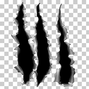 310x310 Torn Vector Png Cliparts For Free Download Uihere