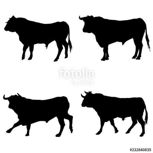 500x500 Toros Stock Image And Royalty Free Vector