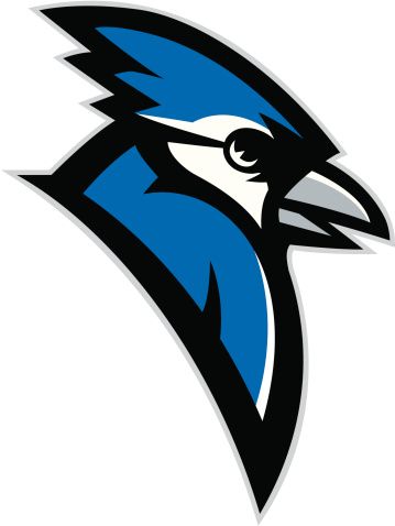 359x478 Blue Jay Head Mascot Vector Art Illustration Draw Sports