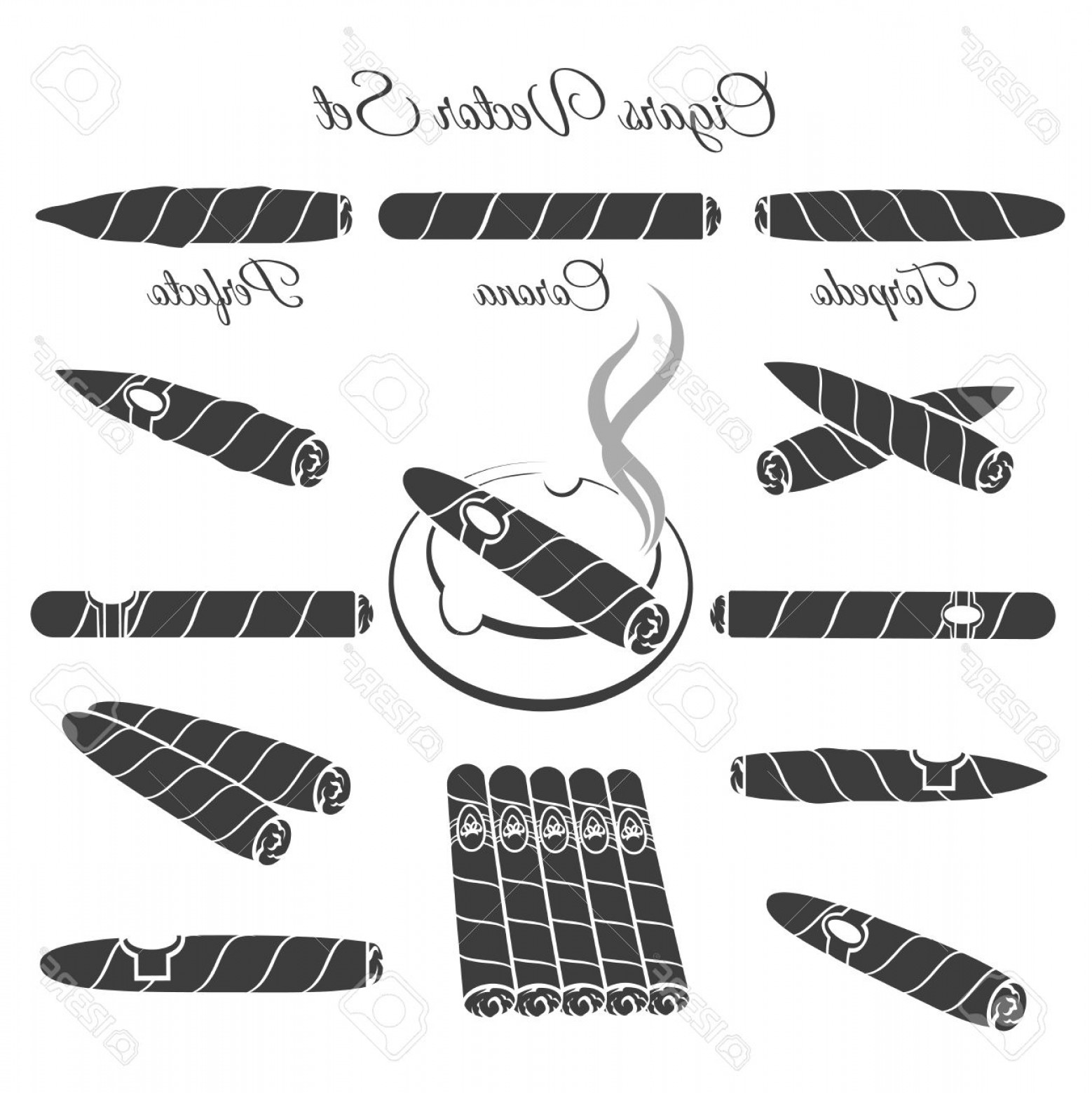 1558x1560 Photostock Vector Hand Drawn Cigars Vector Torpedo Corona