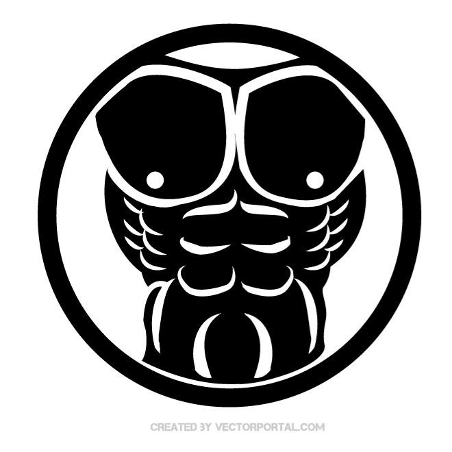 660x660 Muscular Torso Vector