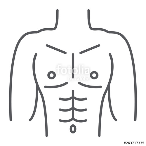 500x500 Male Torso Thin Line Icon, Diet And Body, Man Figure Sign, Vector
