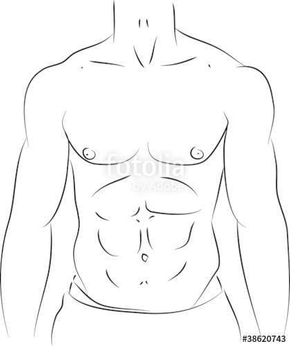 419x500 Man Torso Abs Stock Image And Royalty Free Vector