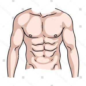 300x300 Muscular Torso Icon Cartoon Style Isolated Createmepink