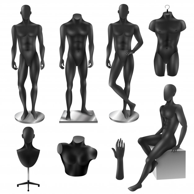 626x626 Torso Vectors, Photos And Free Download