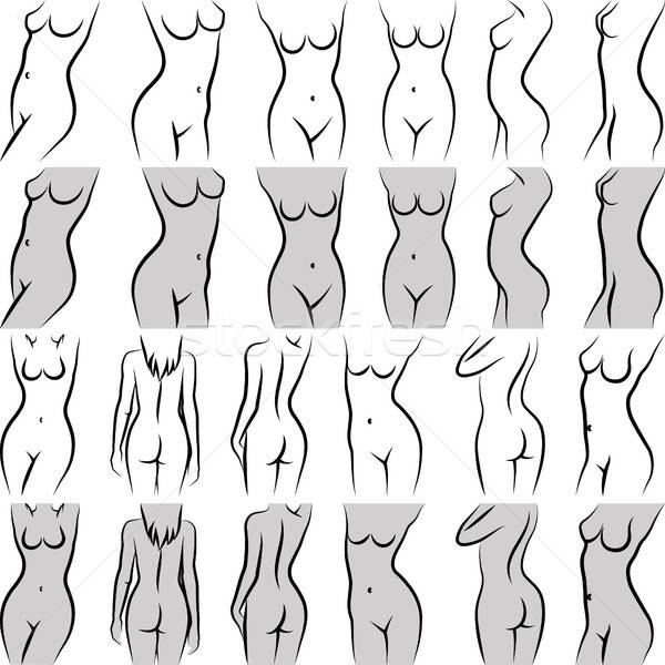 600x600 Torso Vector Illustration Marek Trawczynski