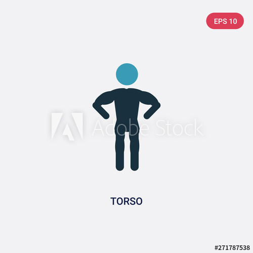 500x500 Two Color Torso Vector Icon From People Concept Isolated Blue