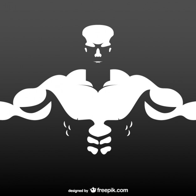 626x626 Bodybuilder Torso Vector Free Download