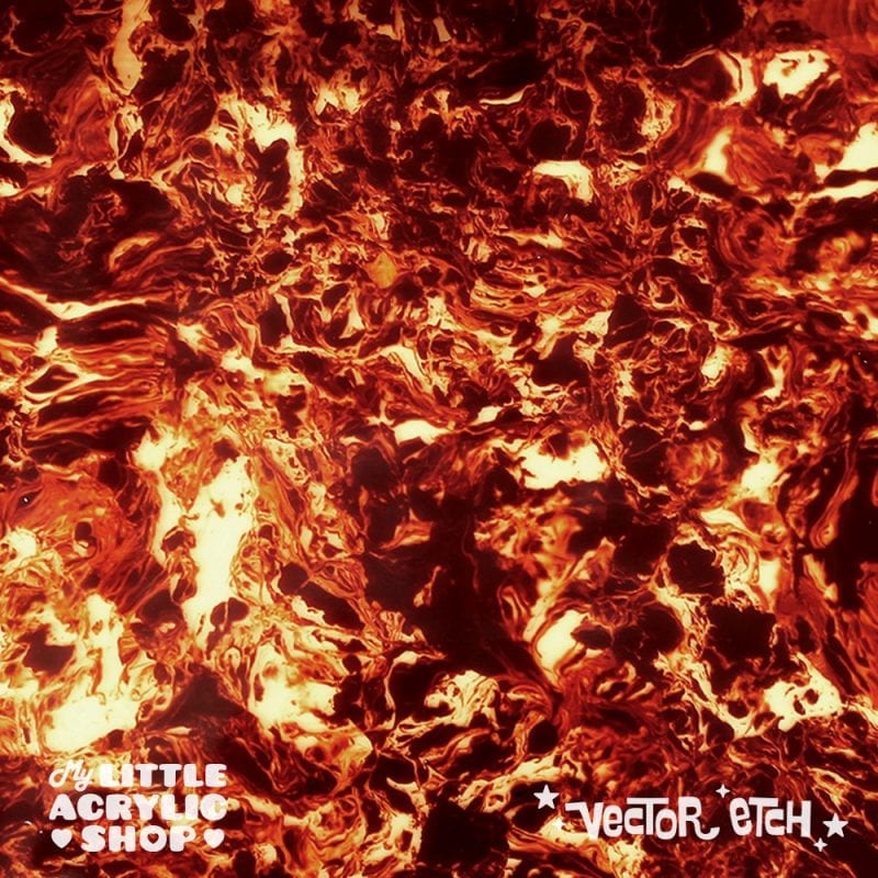 800x800 Tortoise Shell