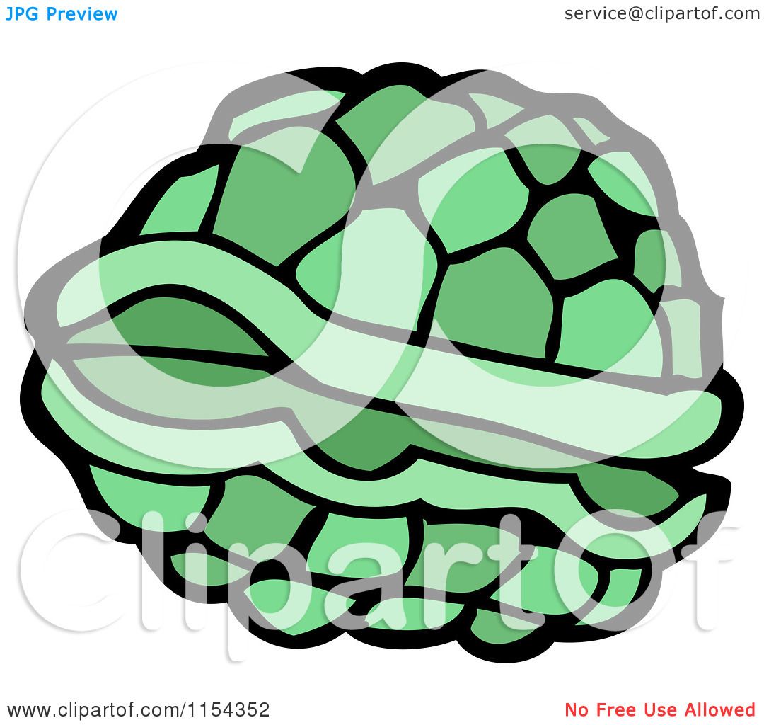 1080x1024 Cartoon Of A Green Turtle Shell