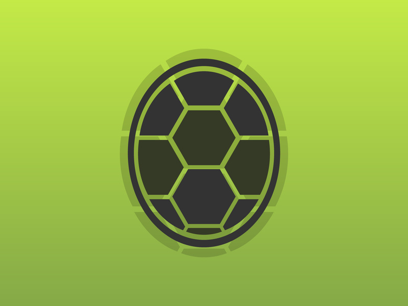 800x600 Tortoise Shell Logo