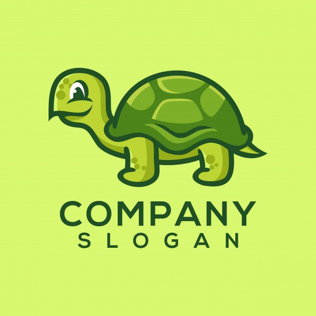 626x626 Tortoiseshell Vectors, Photos And Free Download