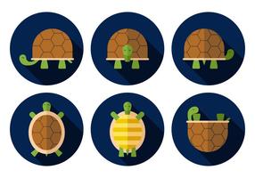 286x200 Turtle Shell Free Vector Art