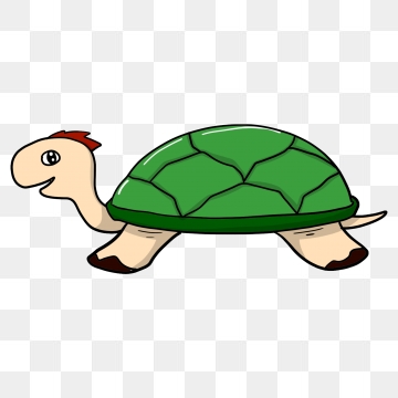 360x360 Turtle Shell Png, Vector, And Clipart With Transparent