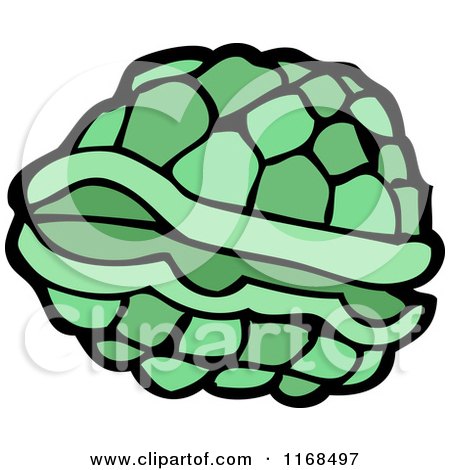 450x470 Cartoon Of A Turtle Shell