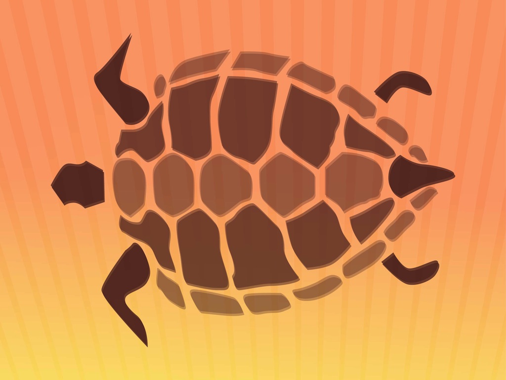 1024x768 Turtle Shell