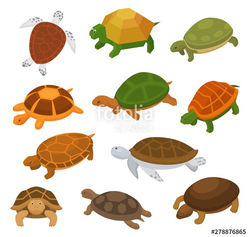 500x477 Turtle Vector Cartoon Seaturtle Character Swimming In Sea
