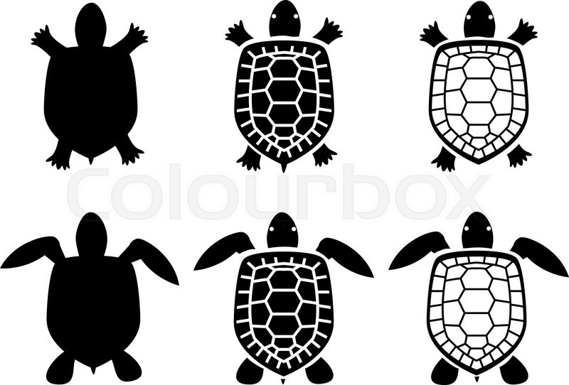 800x542 Set Of Turtle And Tortoise Icons,top Stock Vector Colourbox