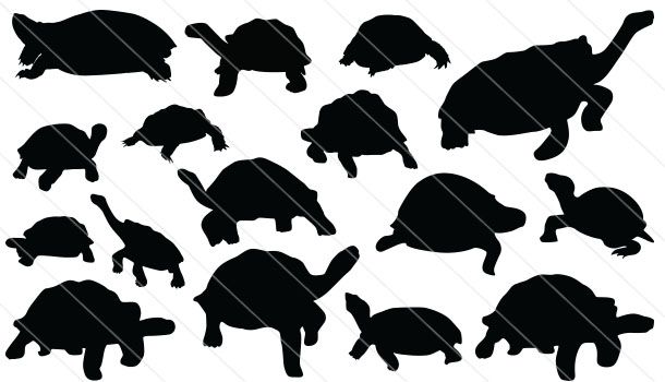 610x350 Tortoise Silhouette Vector