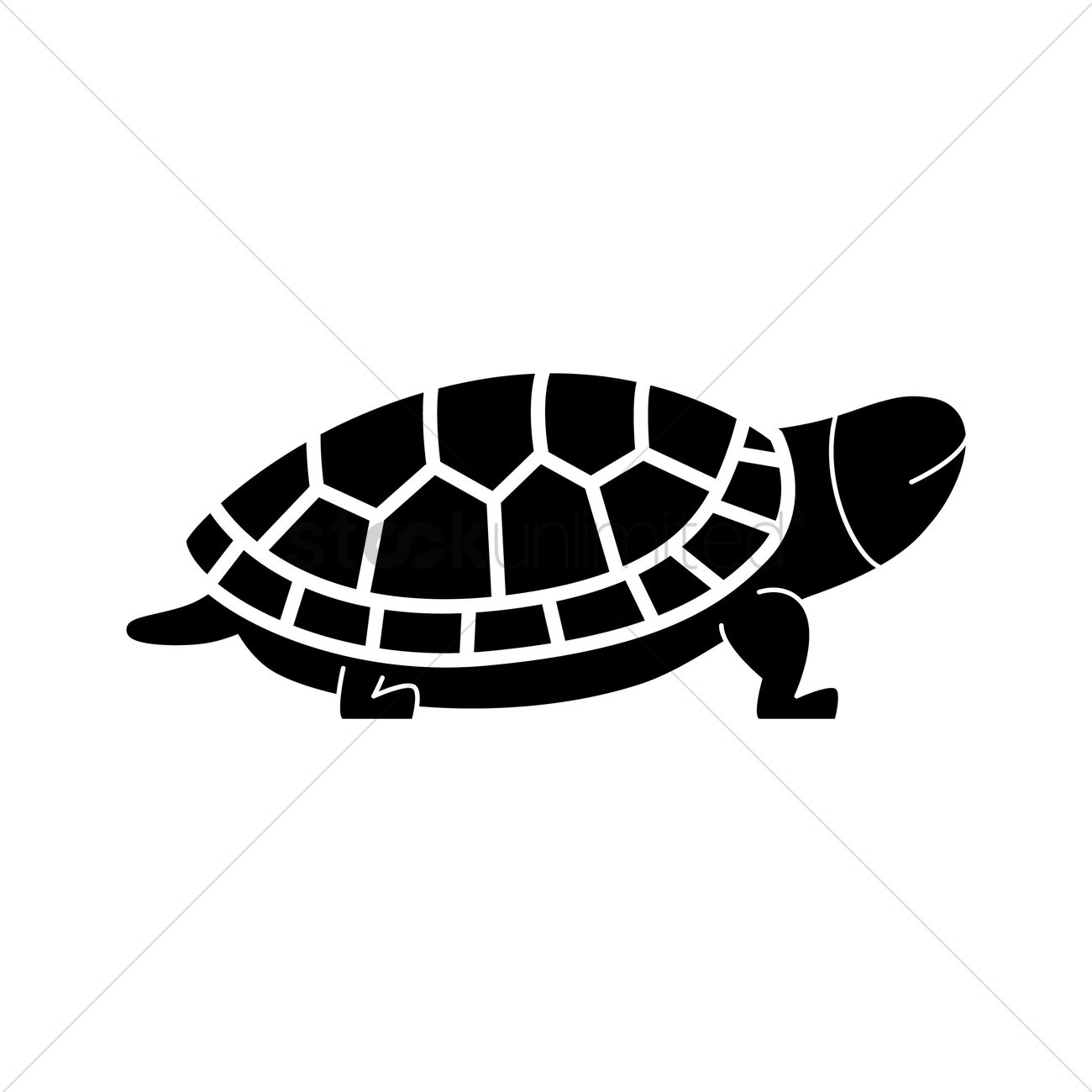 1300x1300 Tortoise Vector Image