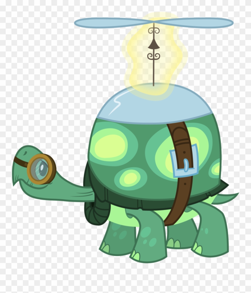 880x1025 Tortoise Vector Simple