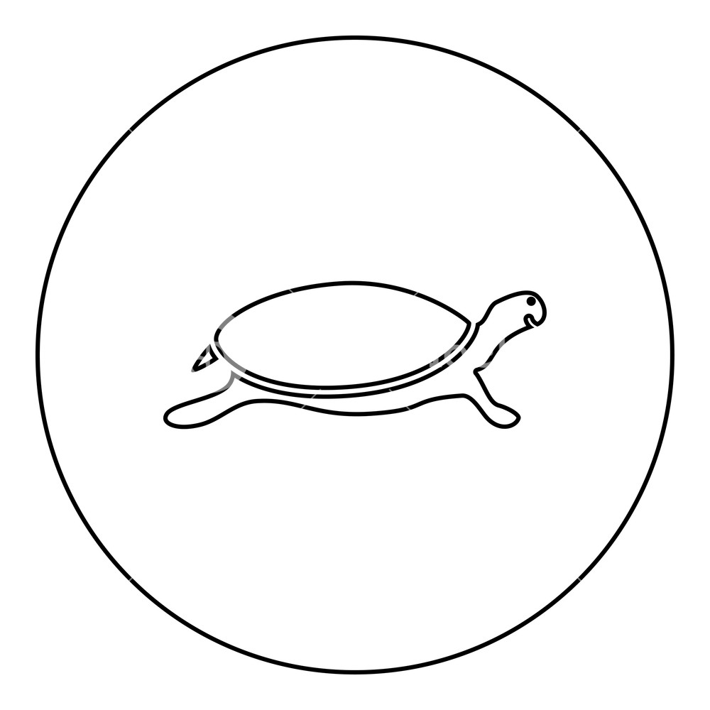 1000x1000 Tortoise Turtle Icon Black Color In Round Circle Outline Vector